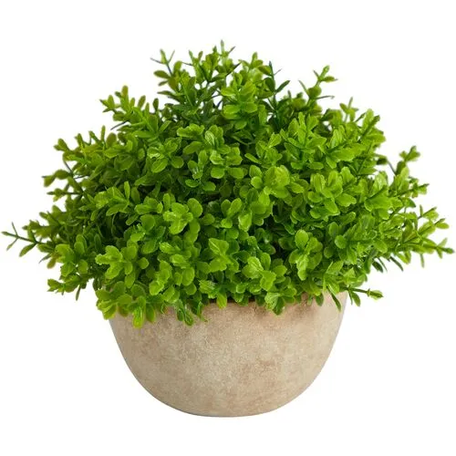 5" Faux Boxwood Plant - Green