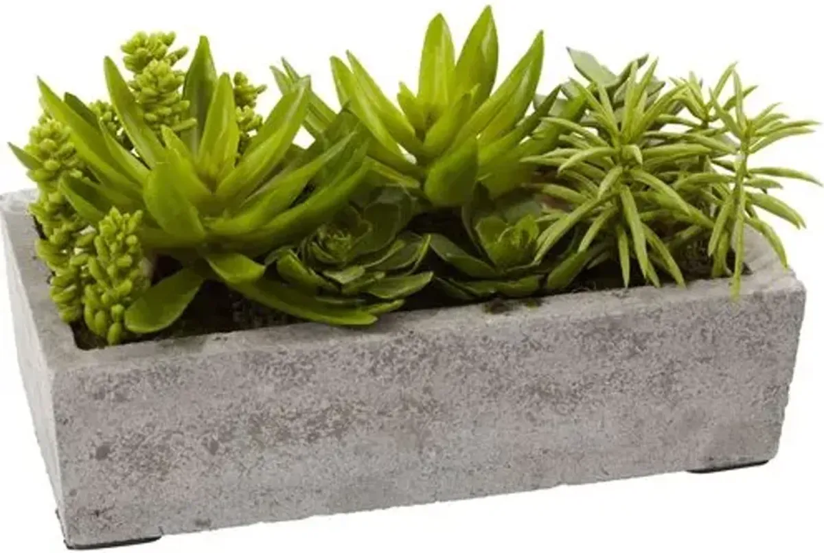 6.5" Faux Succulent Plant - Green