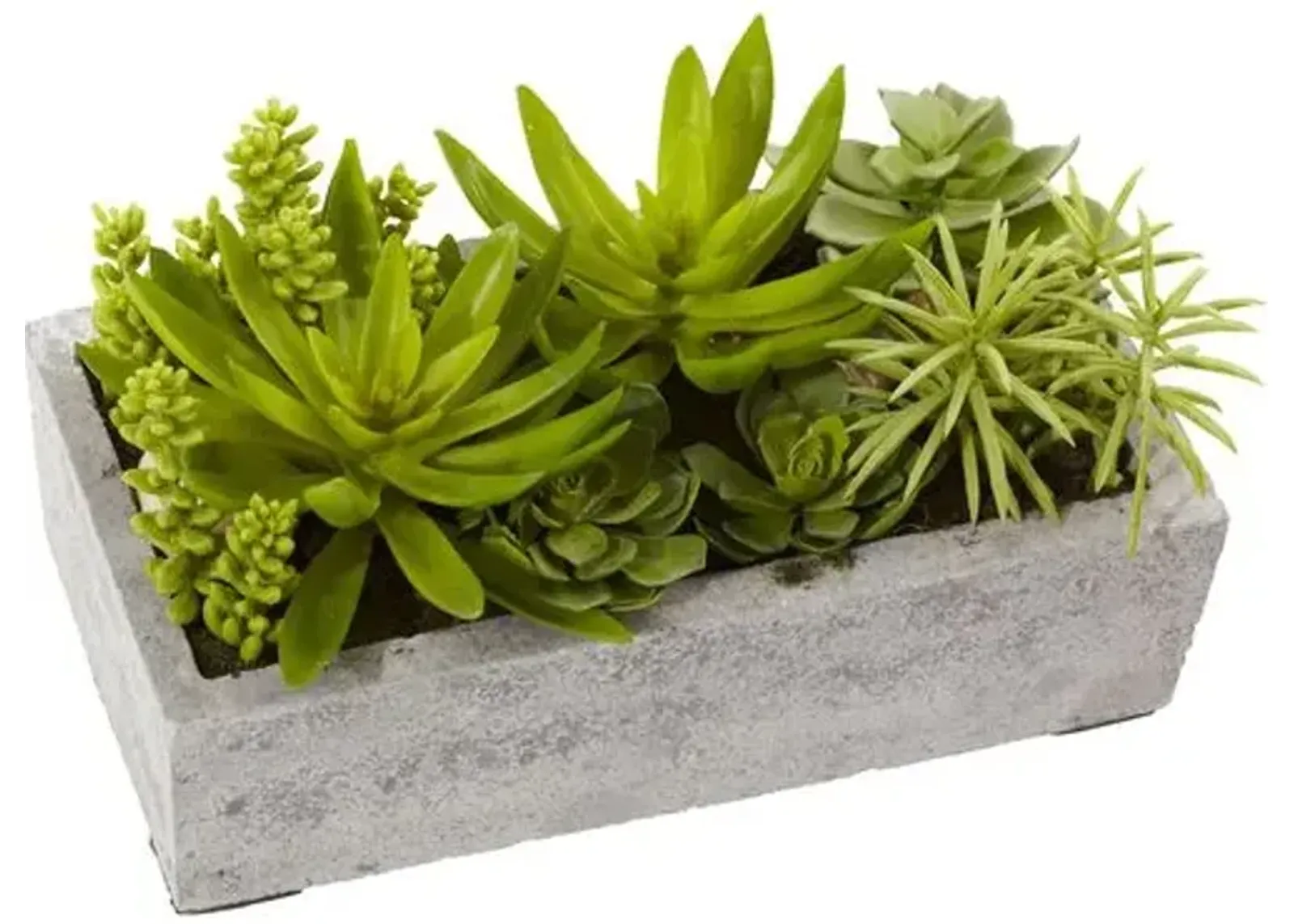 6.5" Faux Succulent Plant - Green