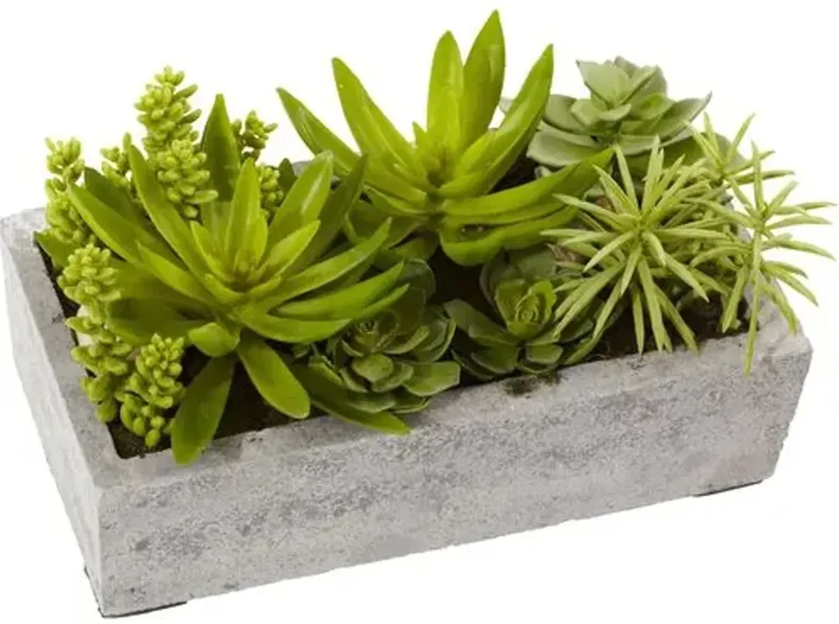 6.5" Faux Succulent Plant - Green