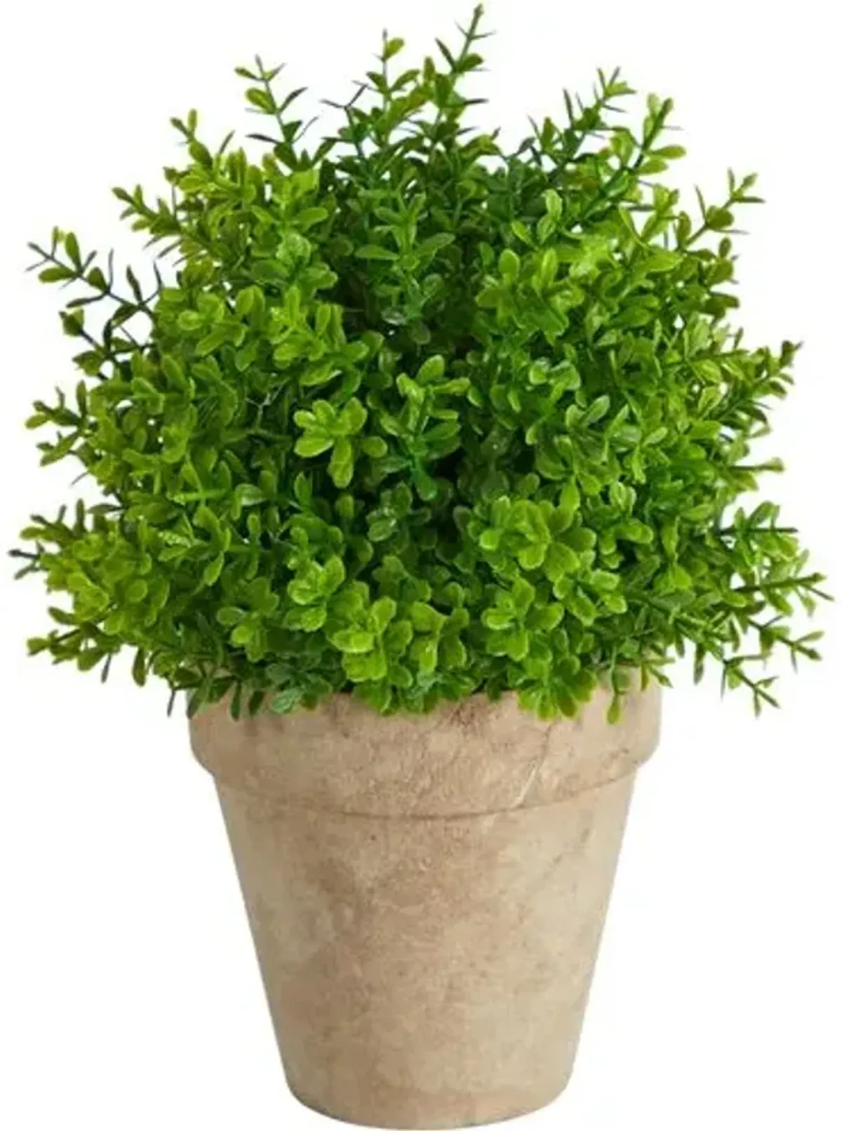 8" Faux Boxwood Plant - Green