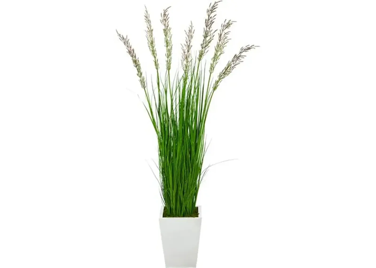 64" Faux Wheat/Grass Plant - Green