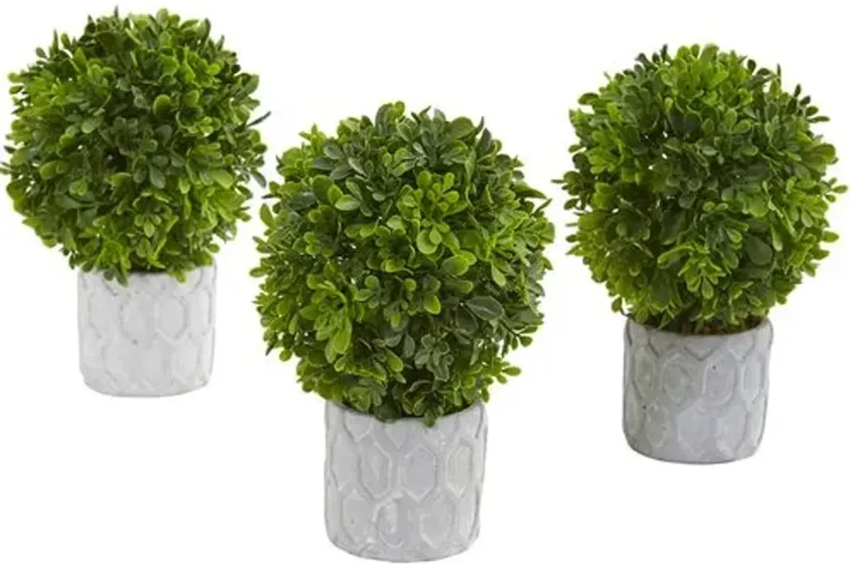 9" Faux Boxwood Plant - Green