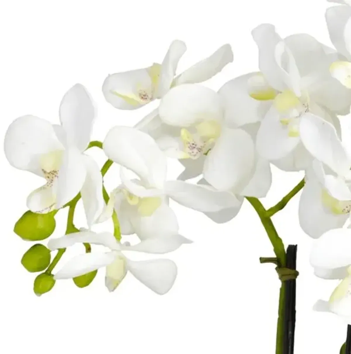 15" Faux Orchid Flower Arrangement - White