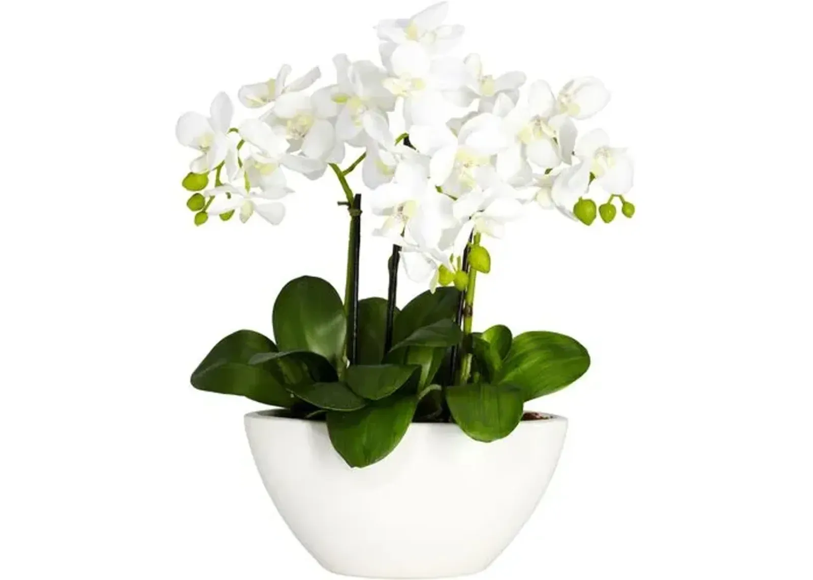 15" Faux Orchid Flower Arrangement - White