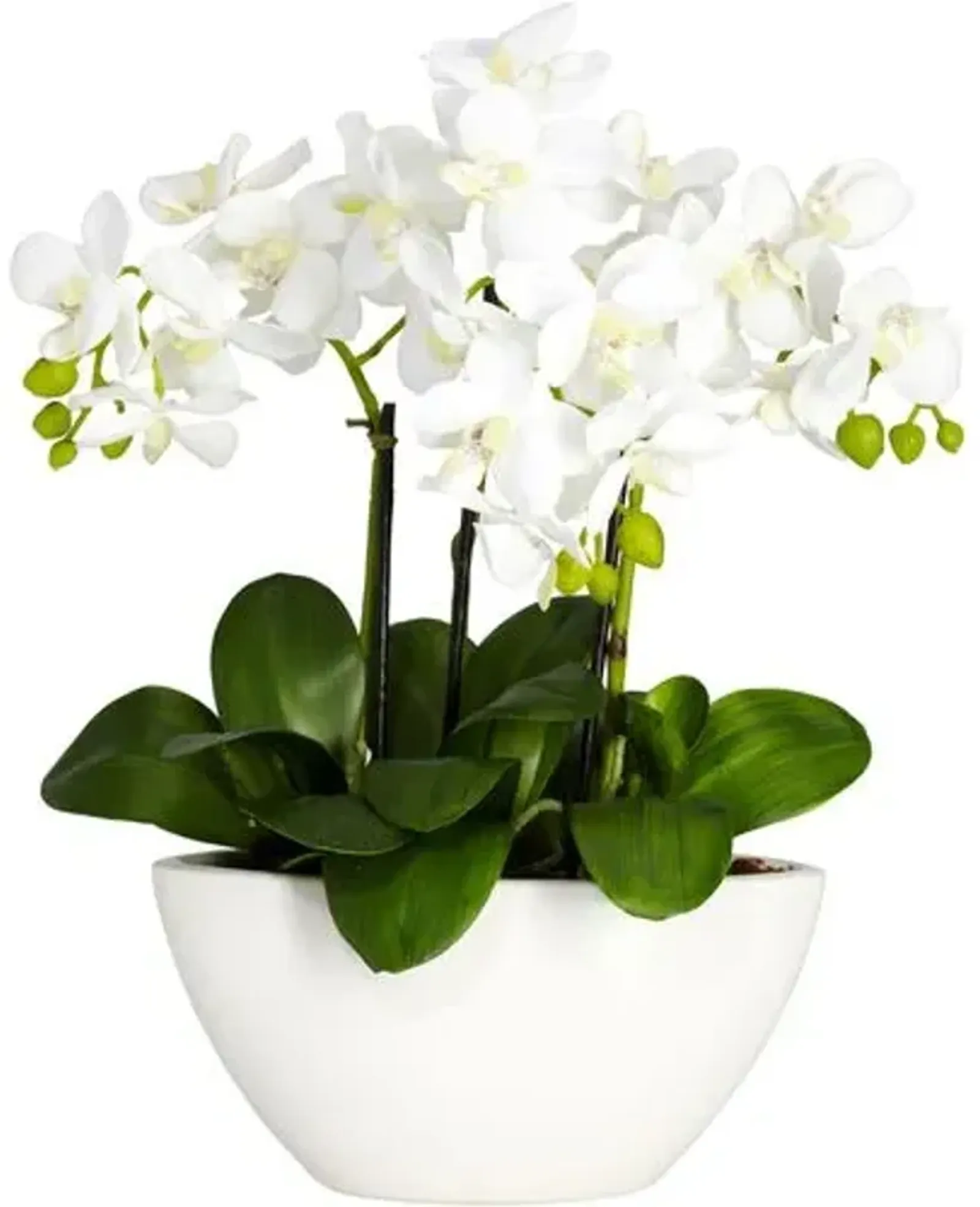 15" Faux Orchid Flower Arrangement - White