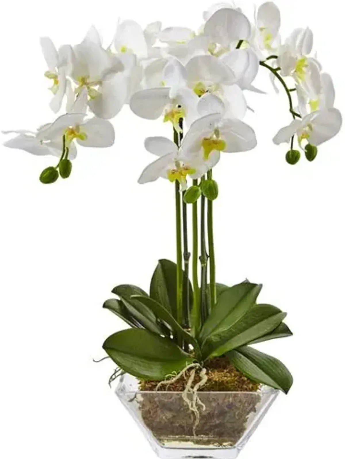 22" Faux Orchid Flower Arrangement - White