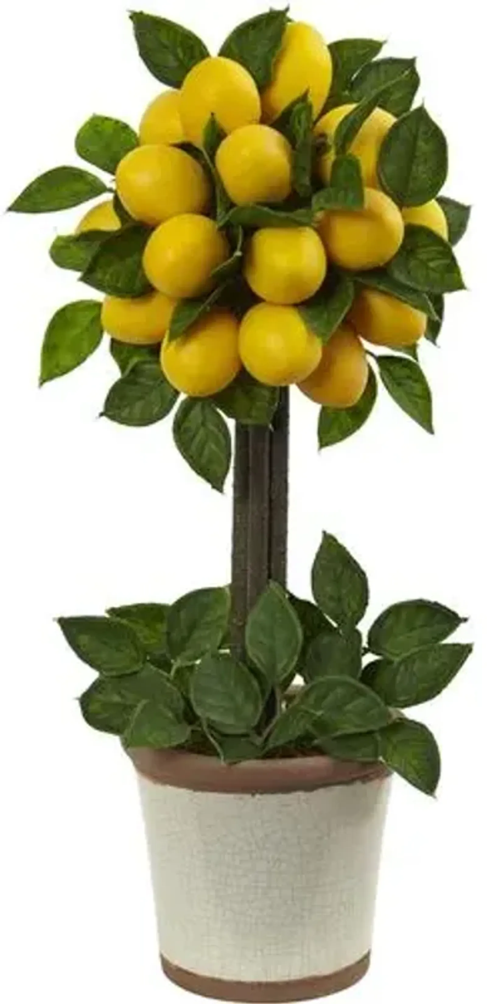 Lemon Ball Topiary Arrangement - Yellow