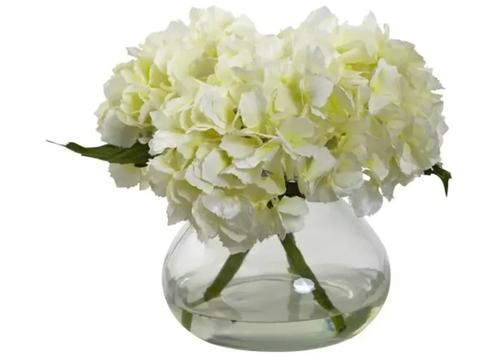 Blooming Hydrangea with Vase - White