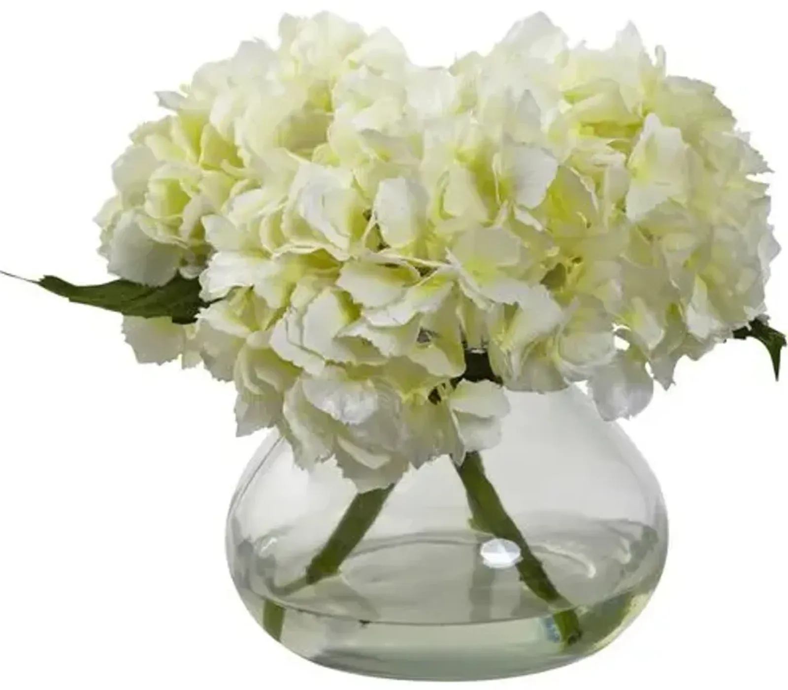 Blooming Hydrangea with Vase - White