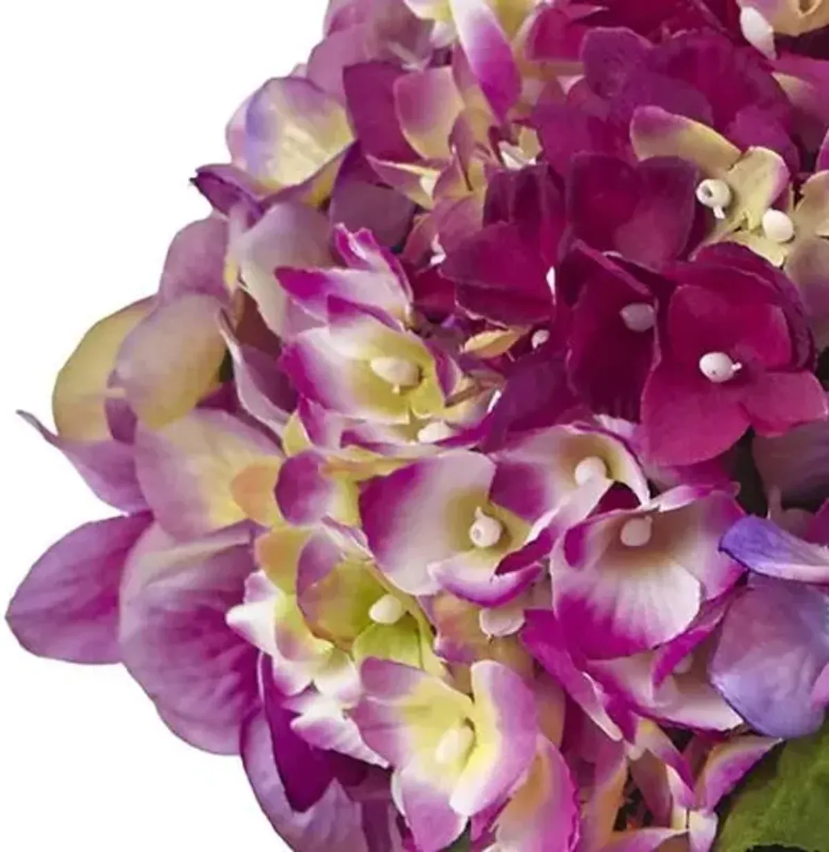 Hydrangea with Large Vase - Purple