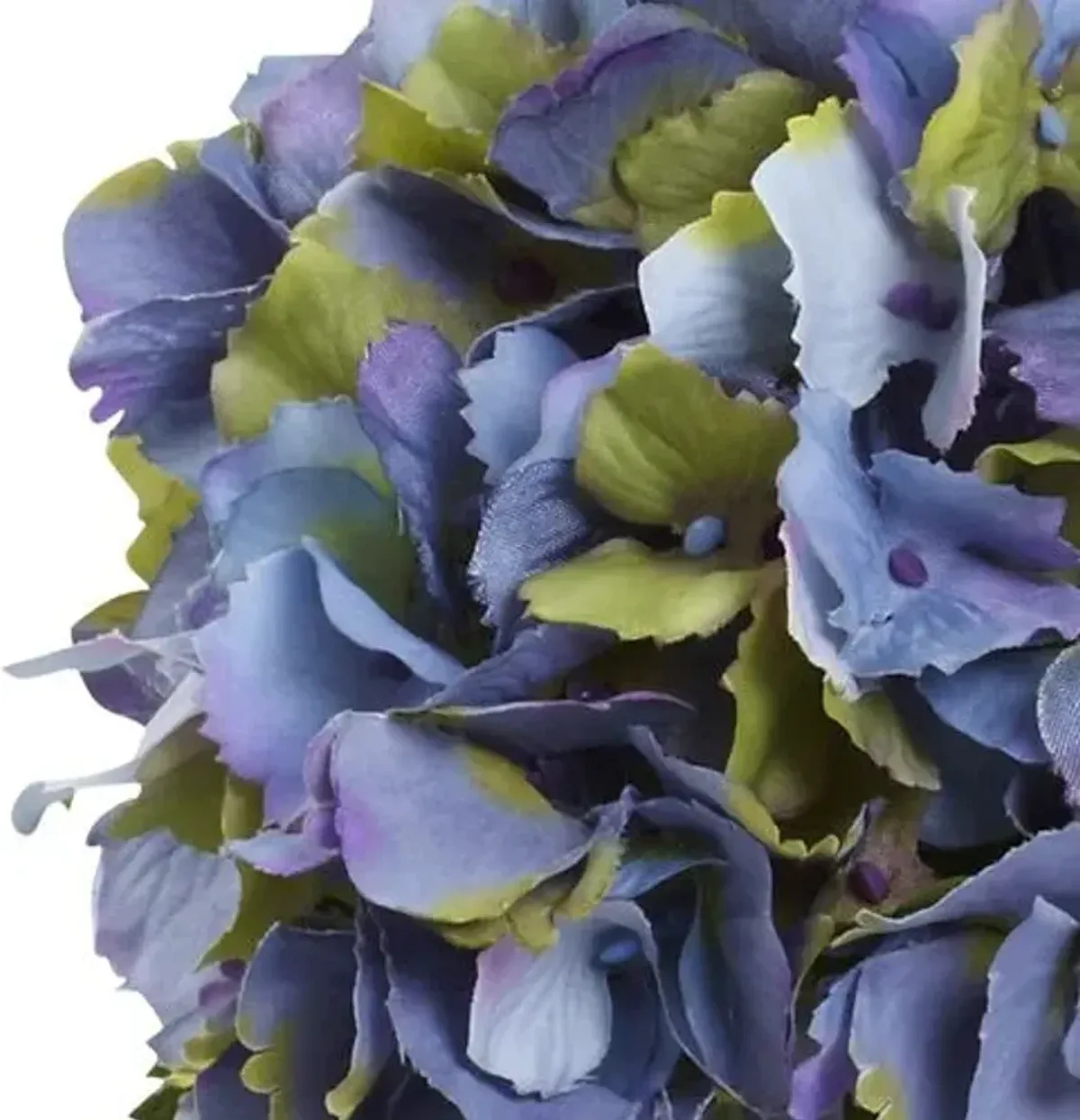 Blooming Hydrangea with Vase - Blue