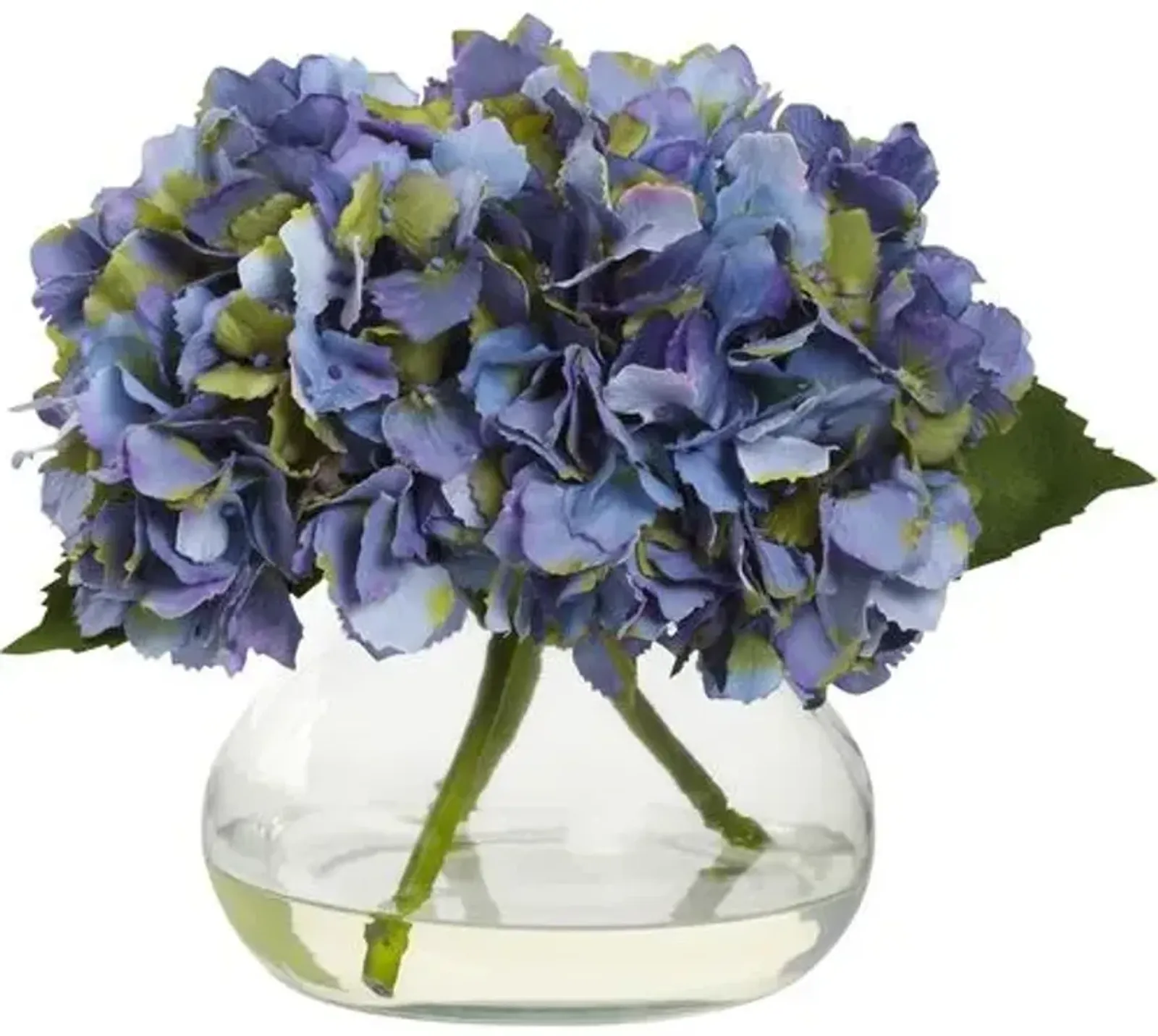 Blooming Hydrangea with Vase - Blue