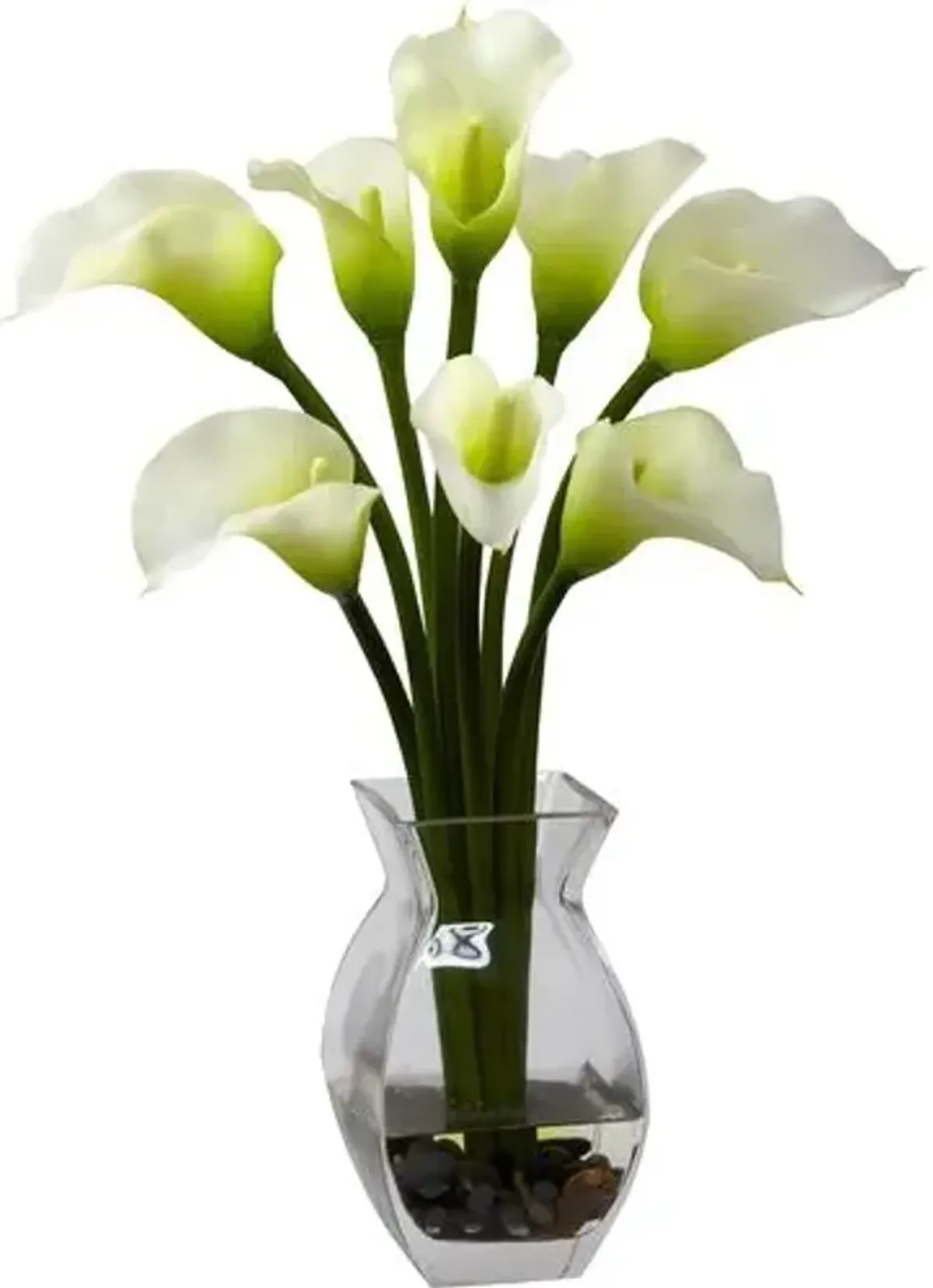 Classic Calla Lily Arrangement - White