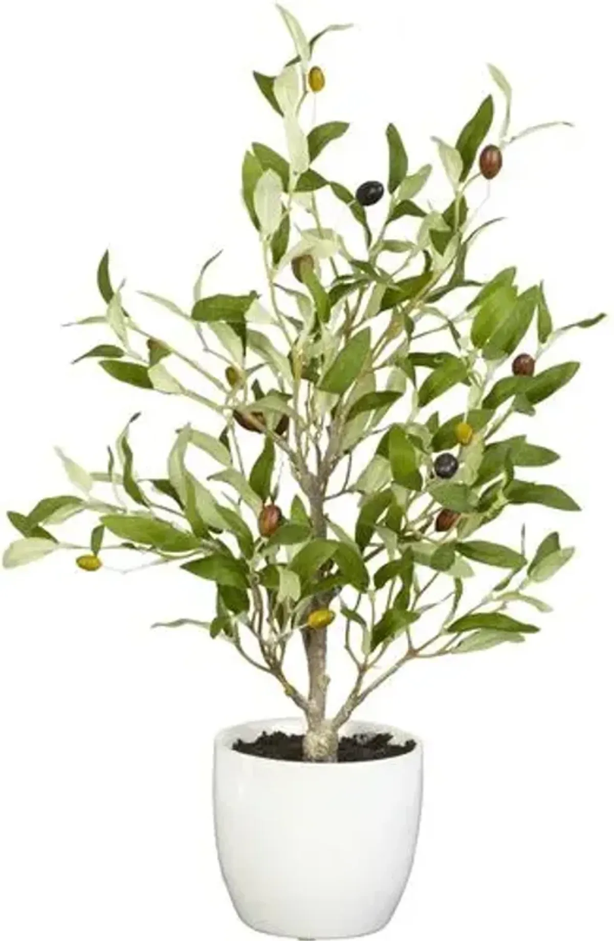 18" Faux Olive Plant - Green