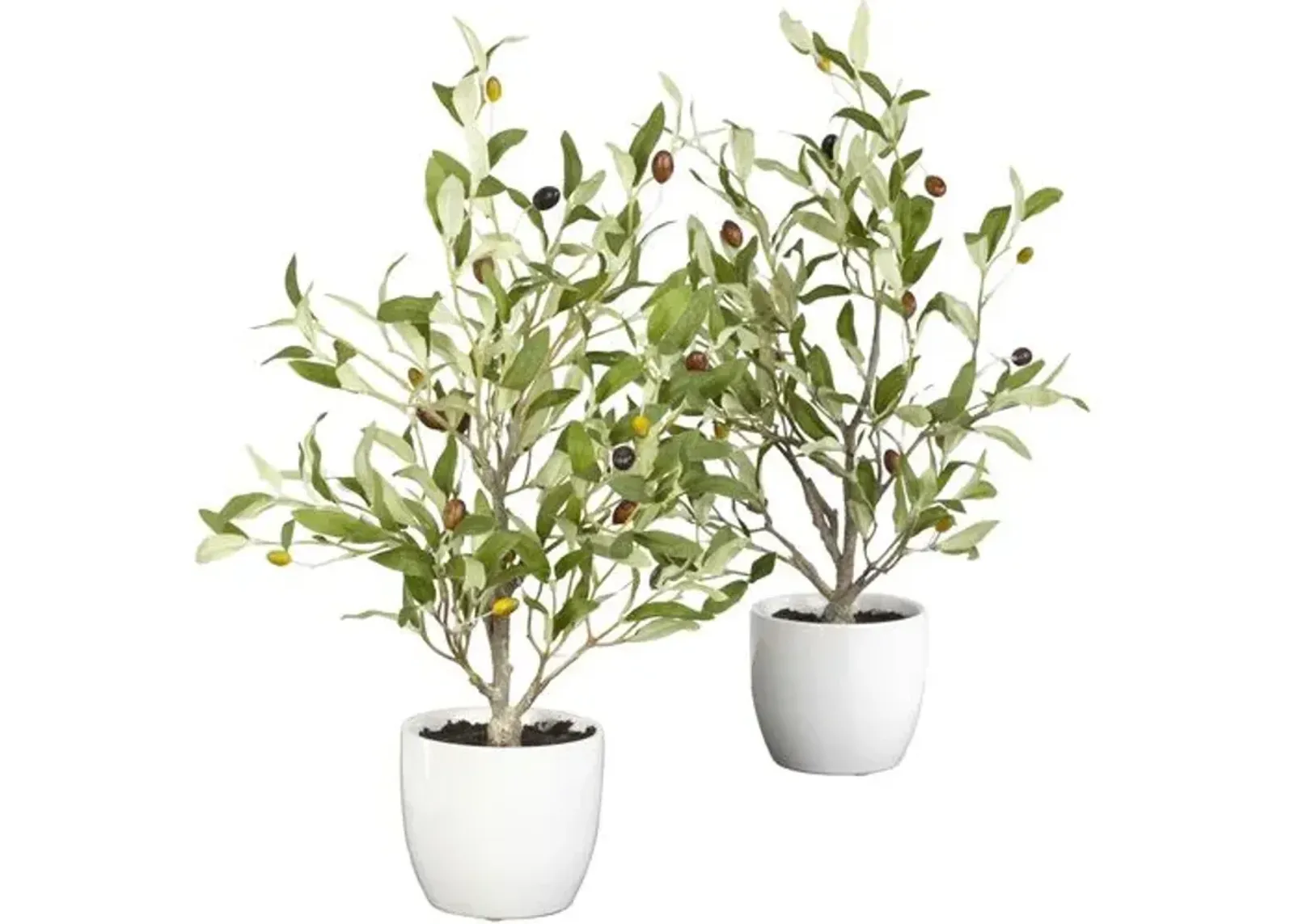 18" Faux Olive Plant - Green