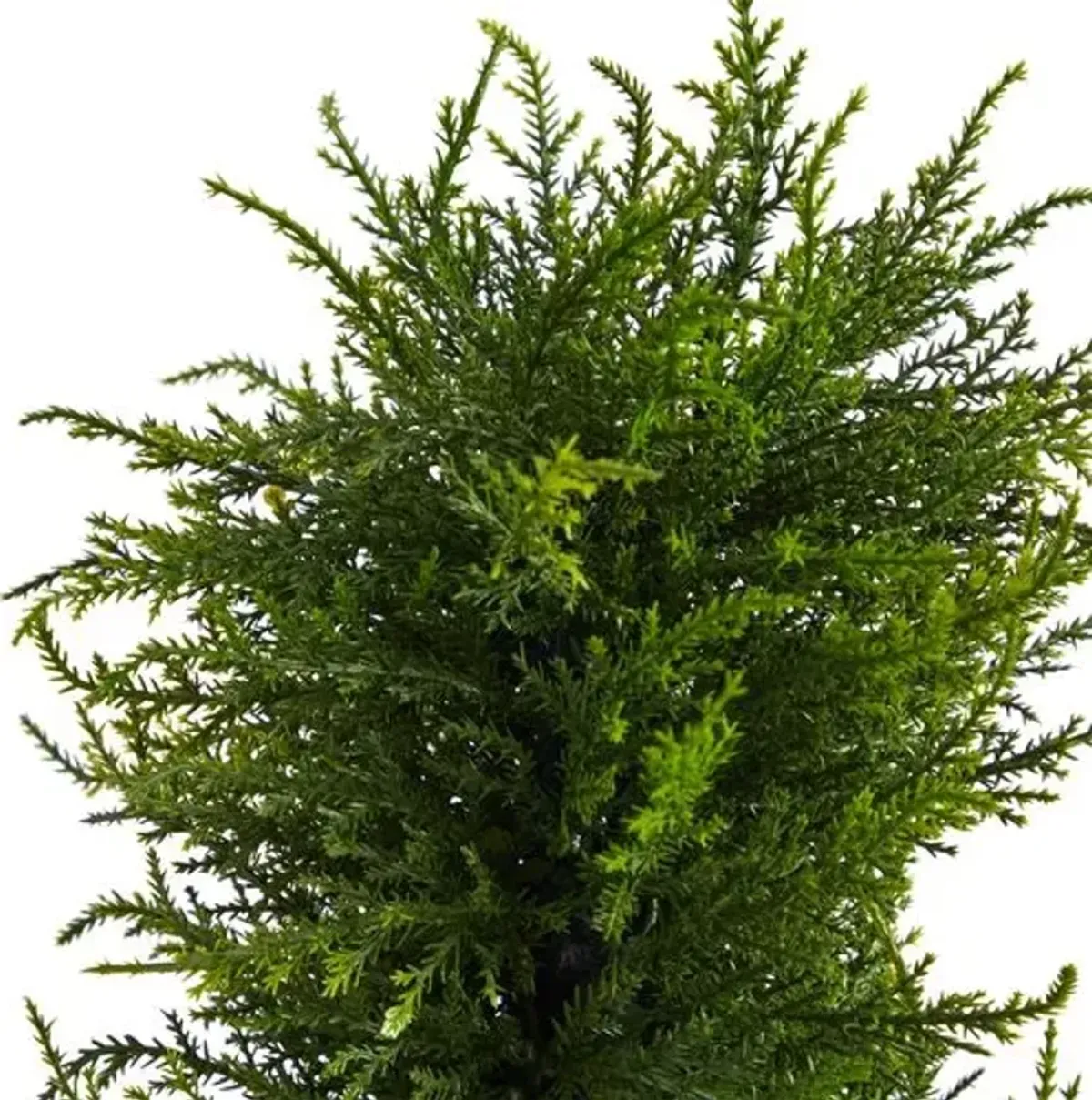 45" Faux Cypress Tree - Green