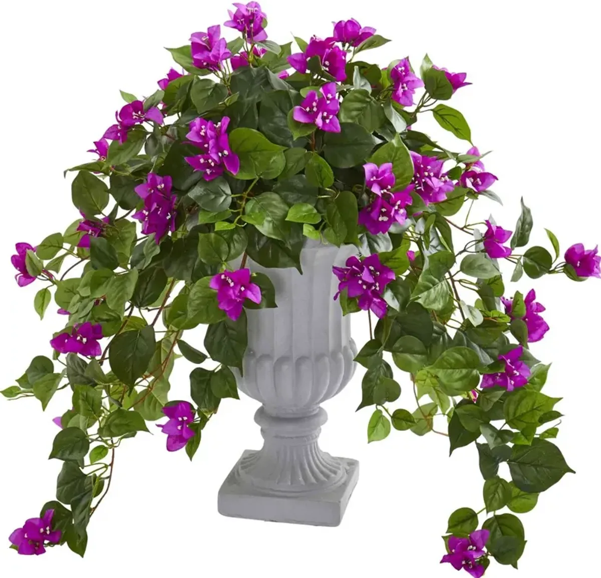 Bougainvillea with Decorative Urn