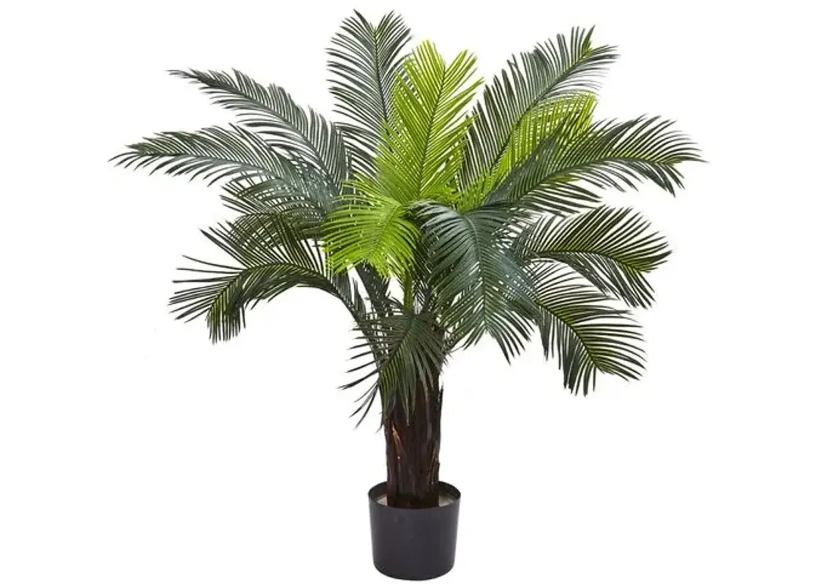 36" Cycas Tree - Green