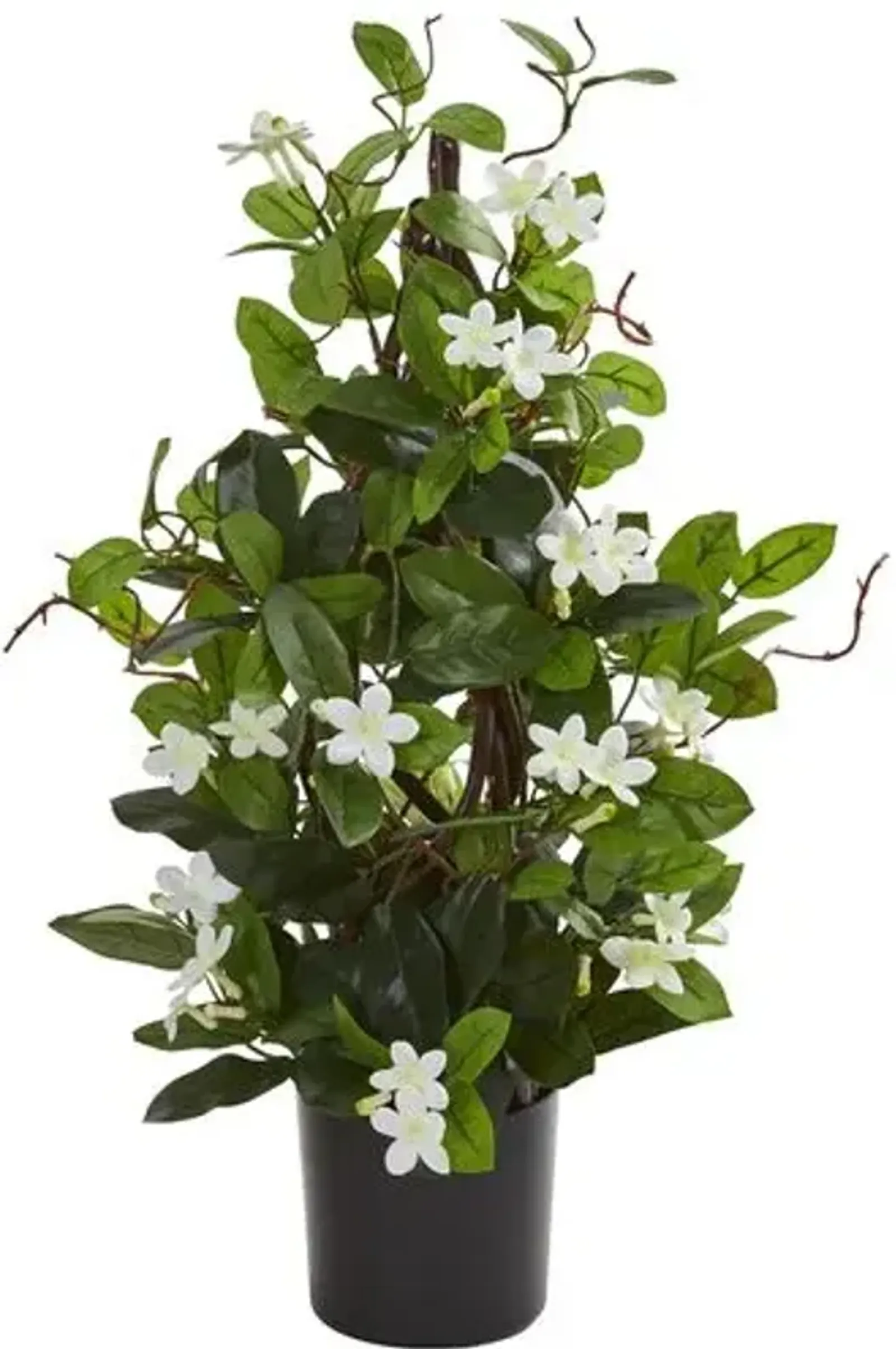 24” Stephanotis Artificial Plant - White