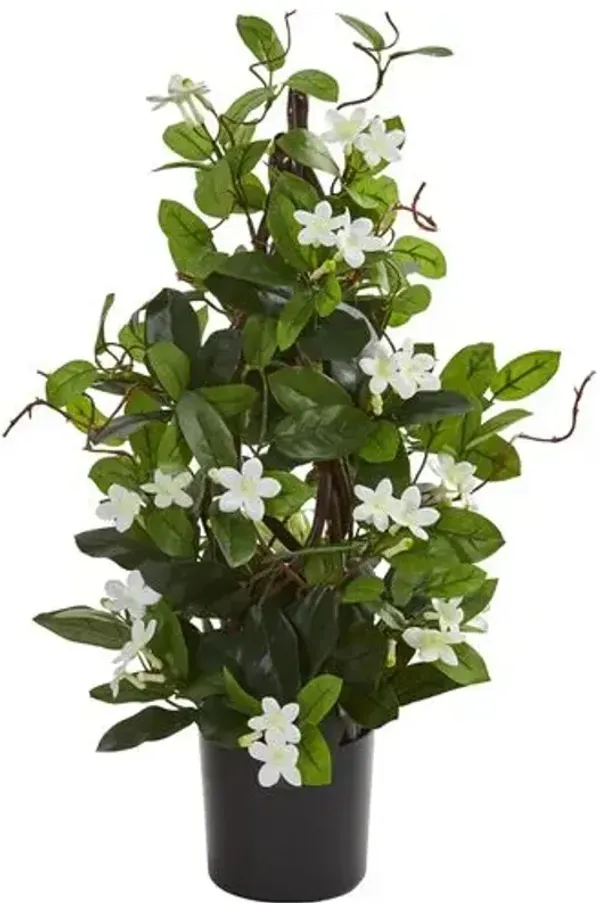 24” Stephanotis Artificial Plant - White