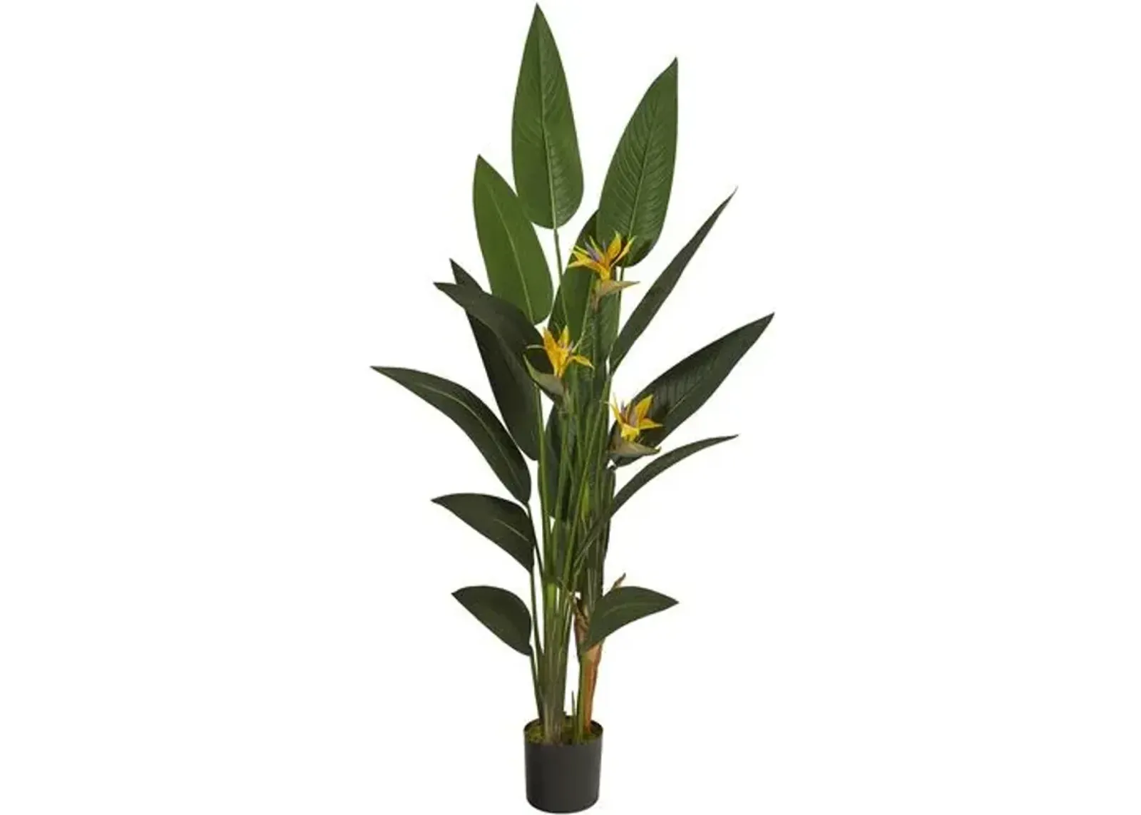 72" Bird of Paradise Artificial Plant - Green