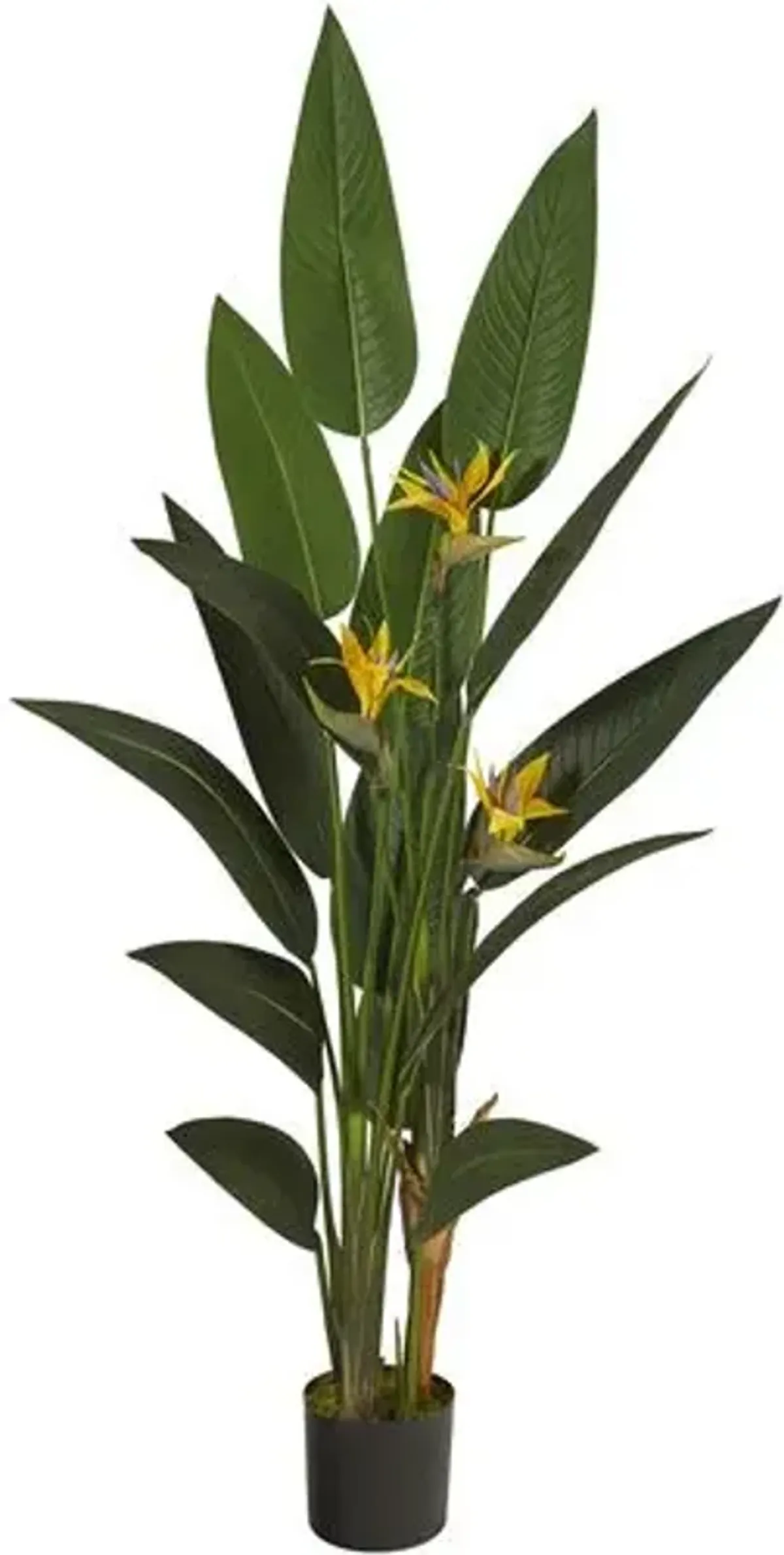 72" Bird of Paradise Artificial Plant - Green