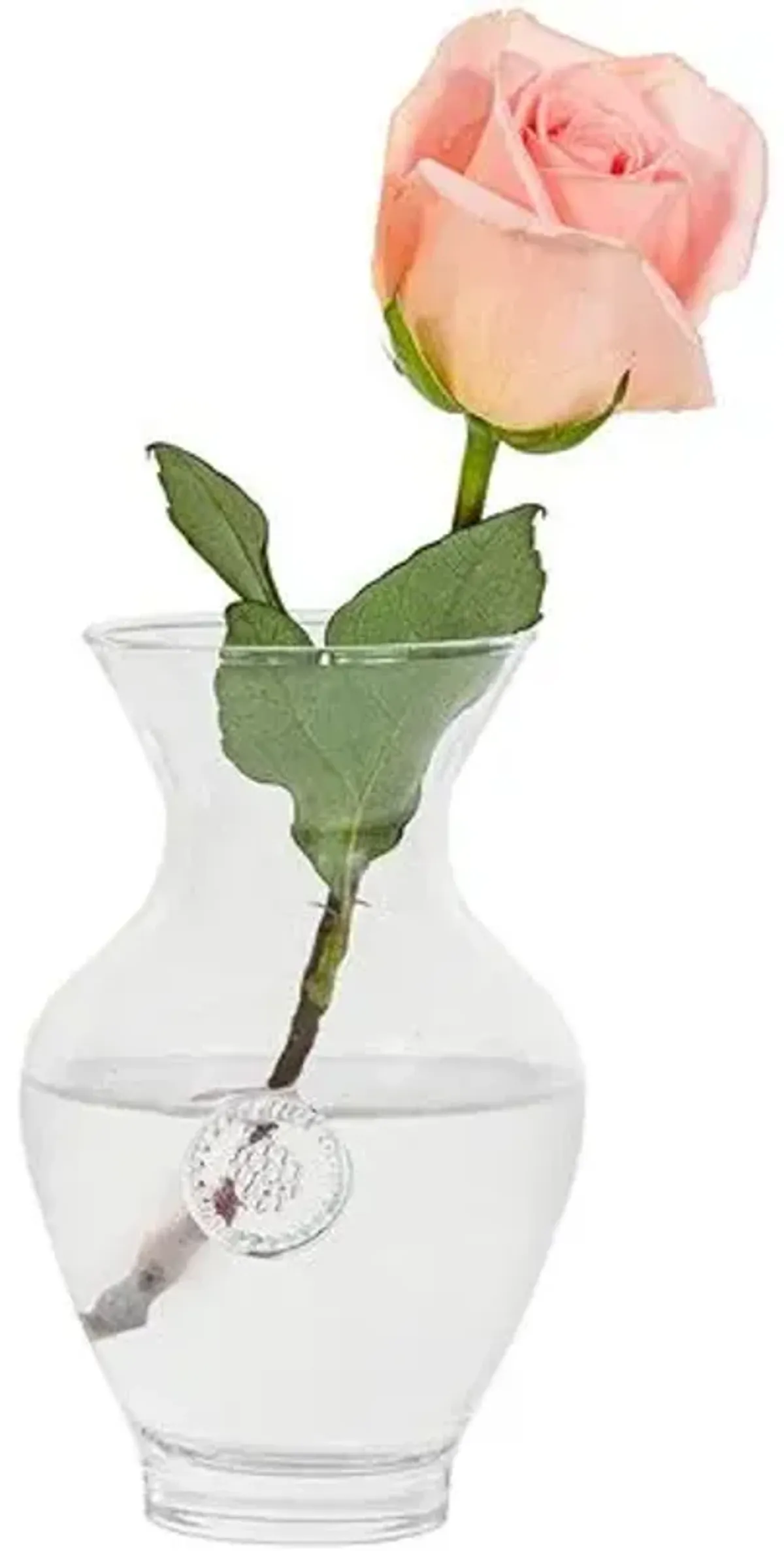 7" Berry & Thread Vase - Juliska - Clear