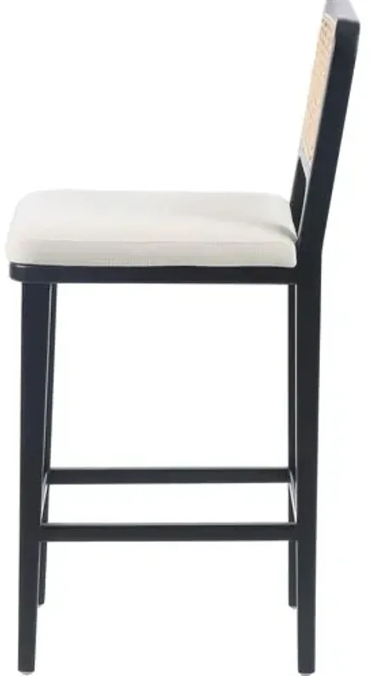 Michaela Cane Counter Stool - Brushed Ebony/Flax Performance