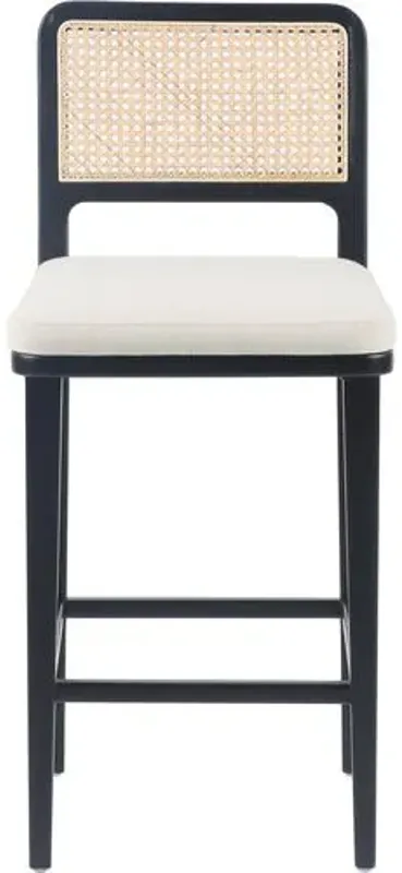 Michaela Cane Counter Stool - Brushed Ebony/Flax Performance