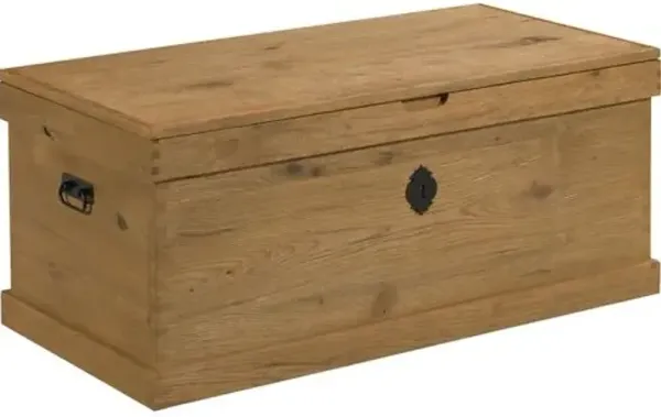 Keepsake Trunk - Natural Breadboard - Lauren Liess - Brown