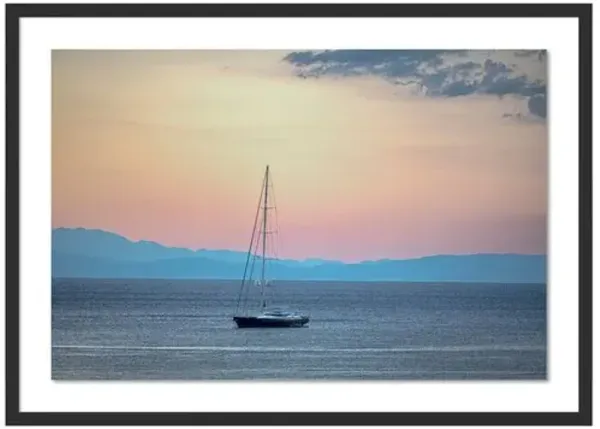 Bella Photograph by Judith Gigliotti - Black