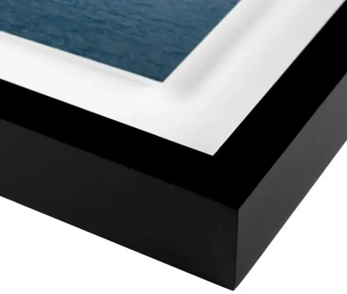 Otto Barche Photograph by Judith Gigliotti - Black