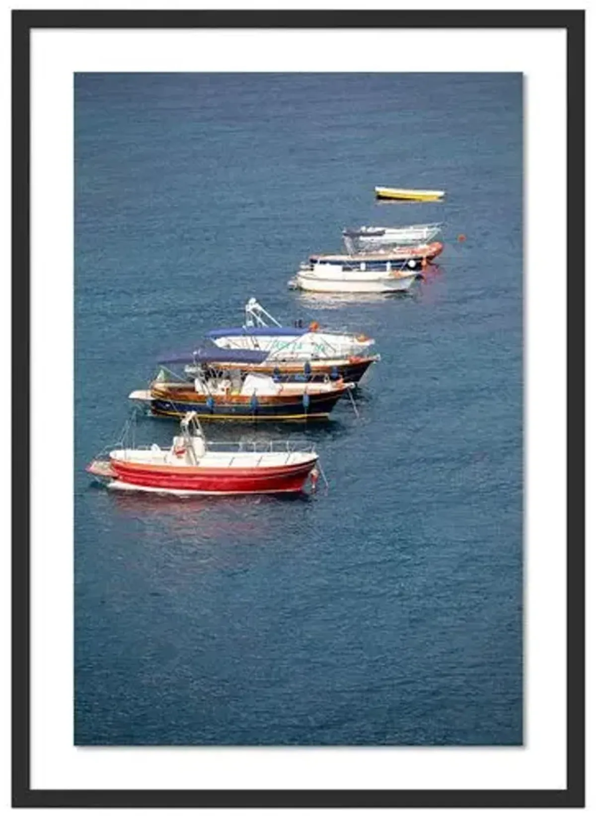 Otto Barche Photograph by Judith Gigliotti - Black