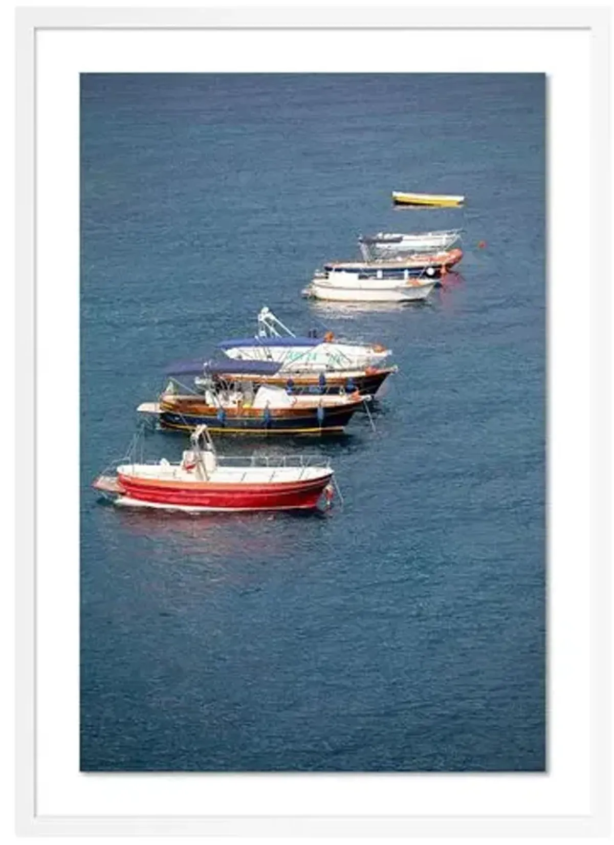 Otto Barche Photograph by Judith Gigliotti - White