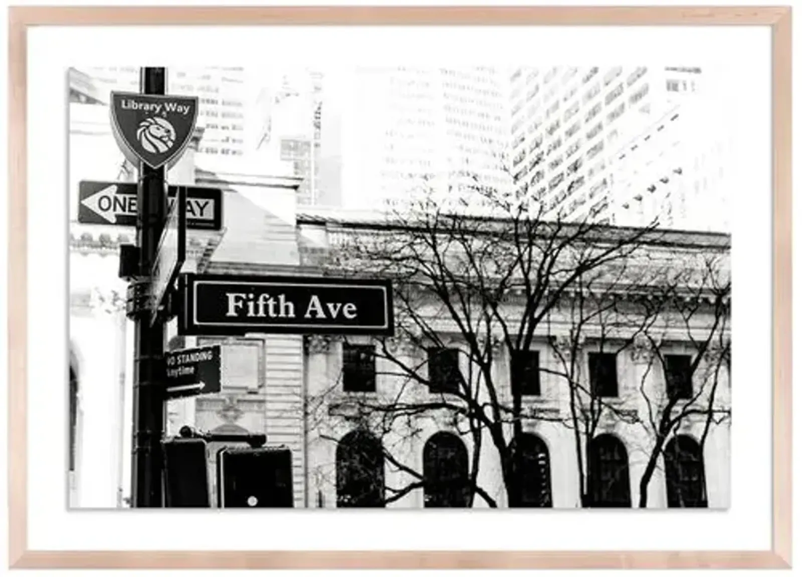 Fifth Ave New York - New York by Carly Tabak - Clear