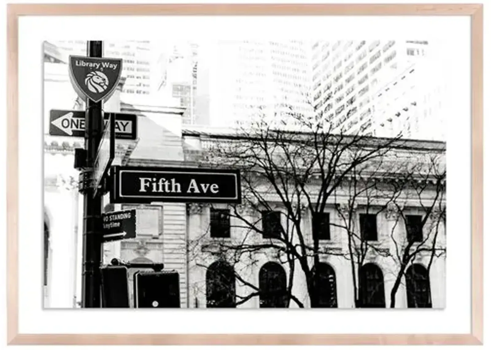 Fifth Ave New York - New York by Carly Tabak - Clear