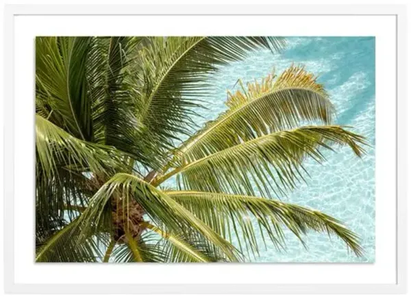 Florida Palms - Miami - Florida Photograph by Carly Tabak - White