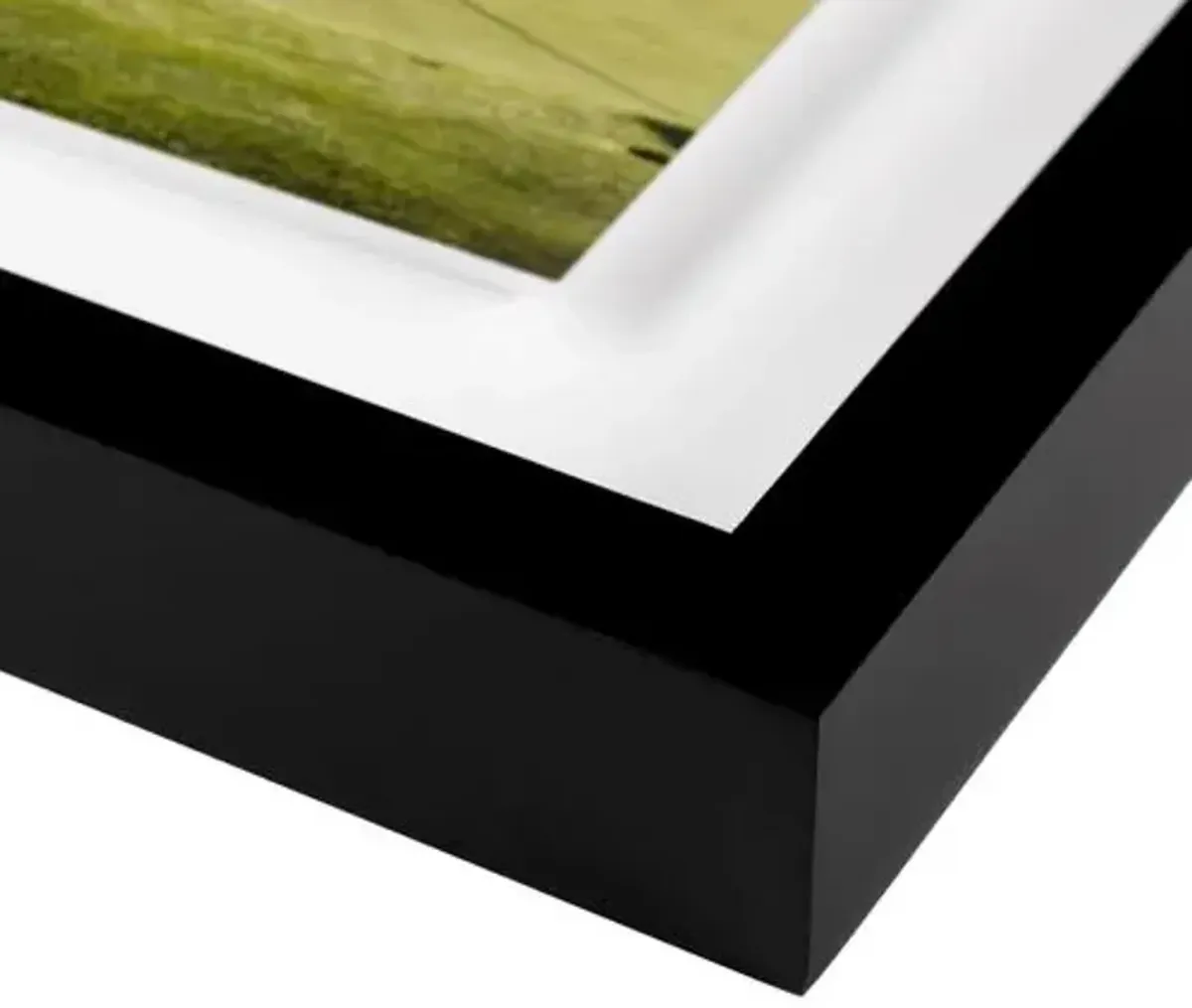 Fore - Half Moon Bay - California Photograph by Carly Tabak - Black