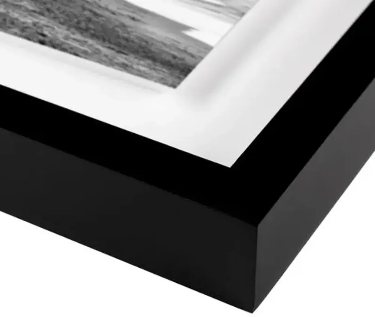 Free Spirit - San Diego - California Photograph by Carly Tabak - Black