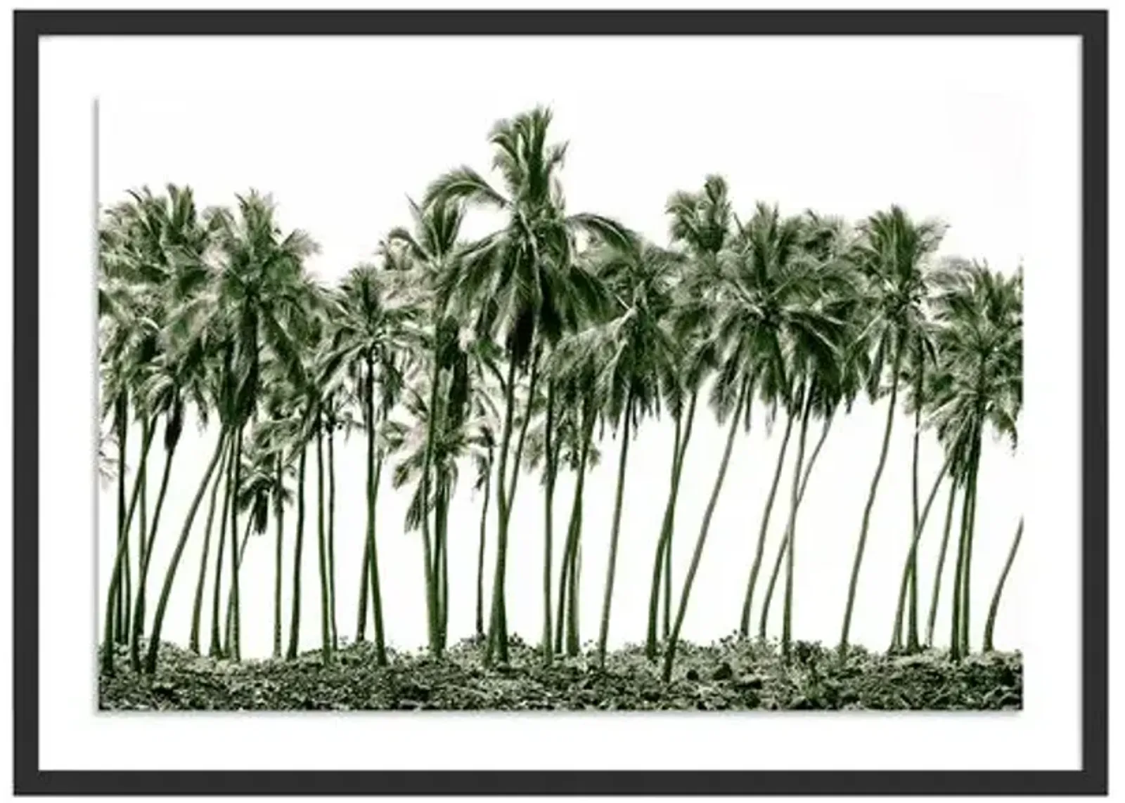 Green Palms - Hawaii by Carly Tabak - Black