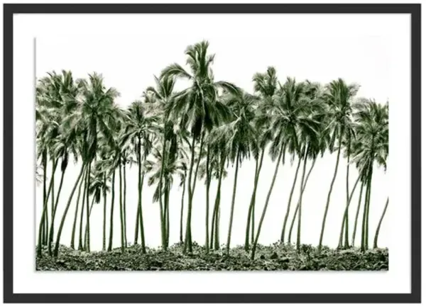 Green Palms - Hawaii Photograph by Carly Tabak - Black