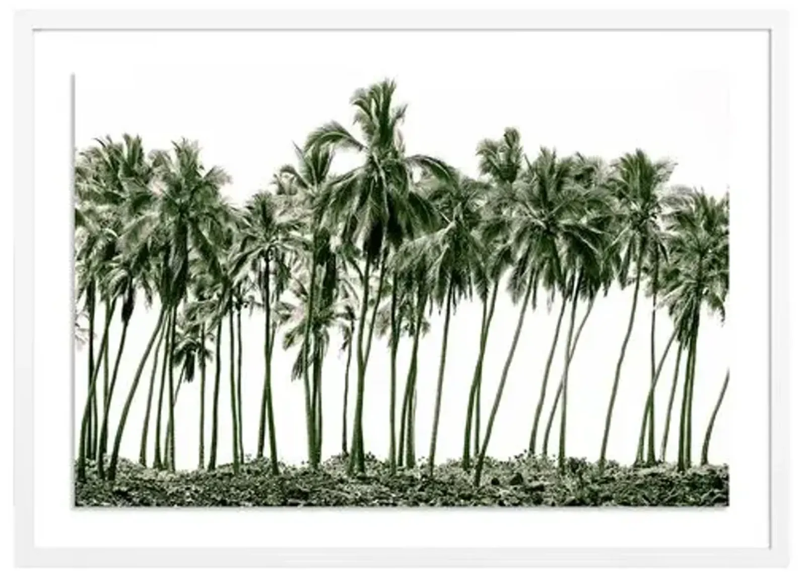 Green Palms - Hawaii by Carly Tabak - White