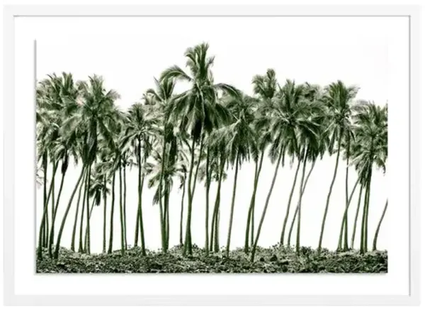 Green Palms - Hawaii Photograph by Carly Tabak - White