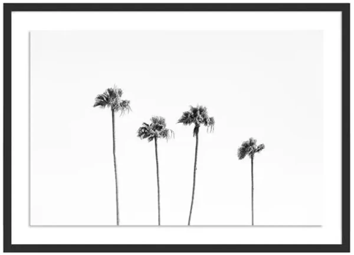 Malibu Palms - Malibu - California by Carly Tabak - Black