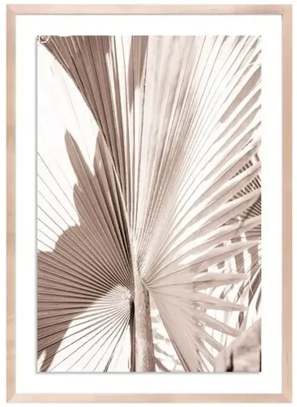 Natural Palm Mexico Photograph by Carly Tabak - Clear