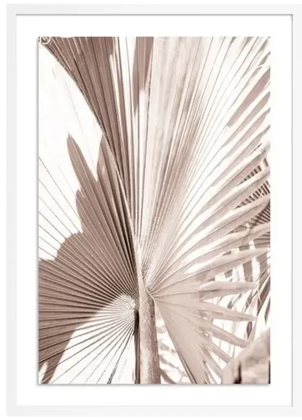 Natural Palm Mexico Photograph by Carly Tabak - White