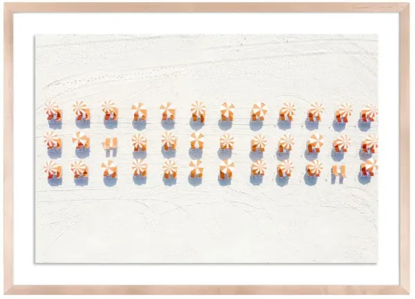 Orange Beach Candy - Miami Florida Photograph by Carly Tabak