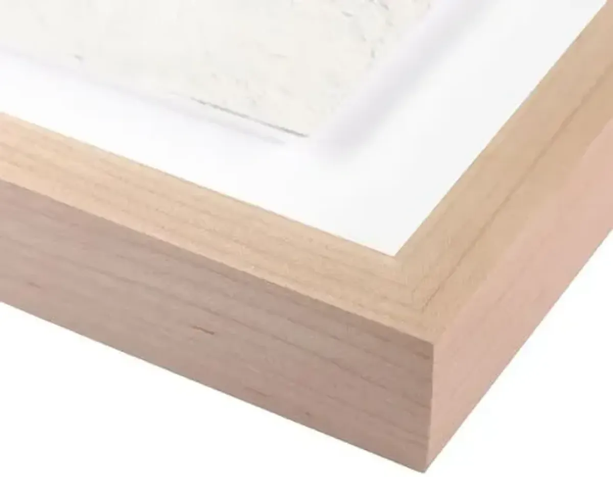 Orange Beach Candy - Miami Florida Photograph by Carly Tabak - Clear