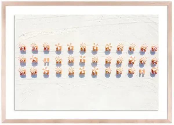 Orange Beach Candy - Miami Florida Photograph by Carly Tabak - Clear